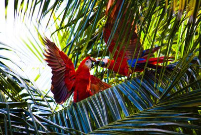 Costa Rica