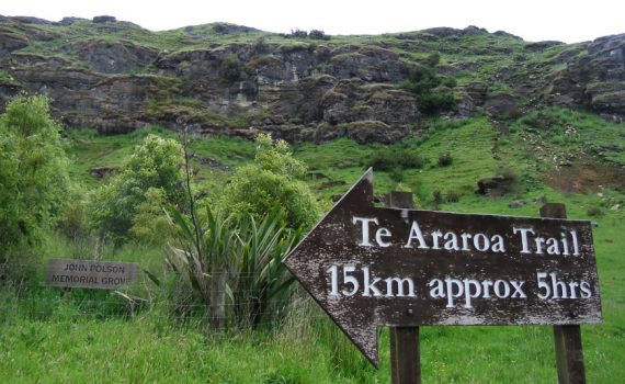 Saul Te Araroa Trail