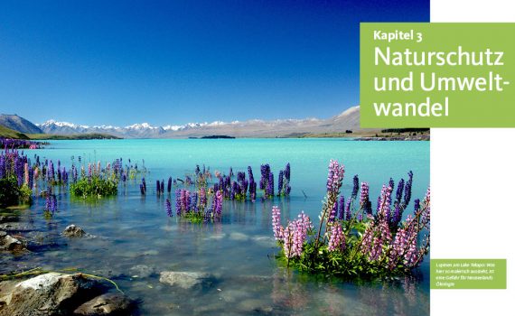 Naturwunder Neuseeland - Stein-Abel - Blick ins Buch