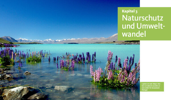 Naturwunder Neuseeland - Stein-Abel - Blick ins Buch