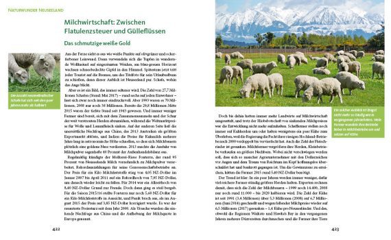 Naturwunder Neuseeland - Stein-Abel - Blick ins Buch