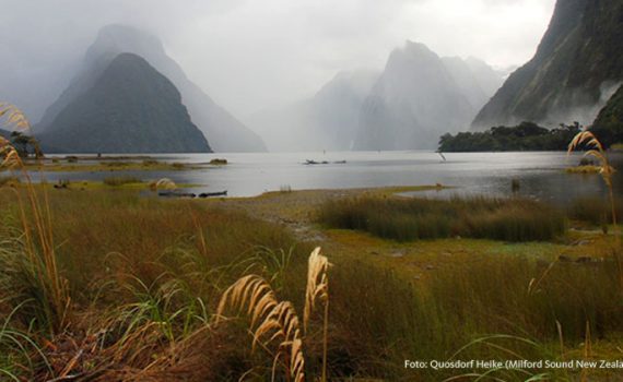 Quosdorf-Heike_Milford-Sound-New-Zealand_flickr_CC-BY-2.0