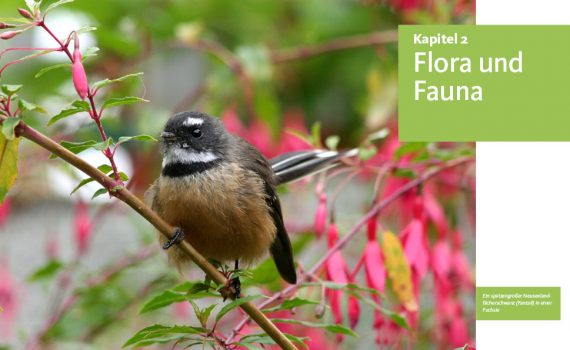Naturwunder Neuseeland von Sissi Stein-Abel