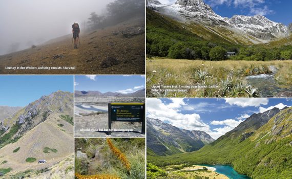 Fremdes Neuseeland, Te Araroa - Der lange Weg, ein Buch von Ann Kathrin Saul