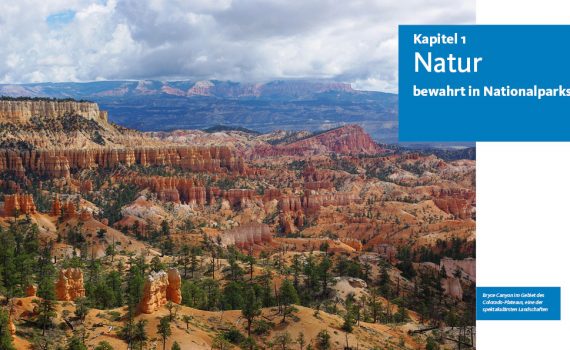 Das USA-Lesebuch von Susanne Satzer