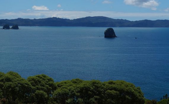 Work & Travel Neuseeland: Eine Reise ans andere Ende der Welt