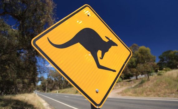 Australien in 100 Tagen, Vorsicht Kangaroos,eine DVD von Silke Schranz und Christian Wüstenberg