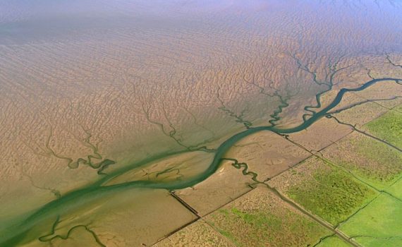 Die Nordsee von oben, Prielstruktur, ein Film von Silke Schranz und Christian Wüstenberg