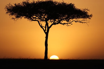 Ostafrika – Dreimal summen bedeutet Nashorn