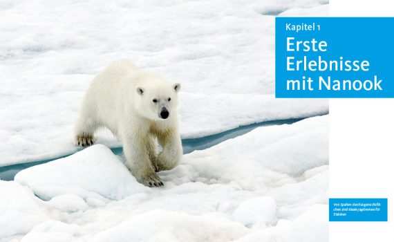 Eisbären, ein Buch von Mechthild und Wolfgang Opel