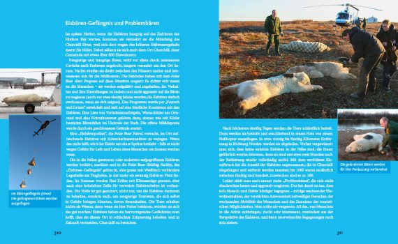 Eisbären, ein Buch von Mechthild und Wolfgang Opel