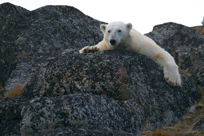 Spitzbergen – Besuch im Außerirdischen